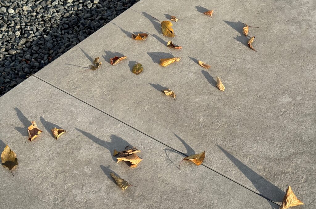 Herfst bladeren op keramische tuintegels