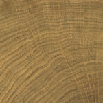 vtwonen Woodcirkle Walnut